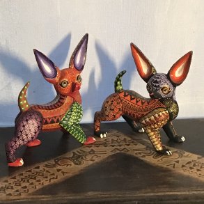 Chihuahuas (Tonos) - Prisen er pr. stk